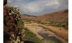 Water Crisis Solutions: A Call to Action for a Sustainable Future