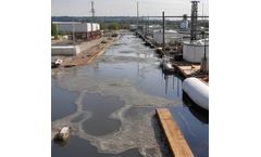 Exploring Natural Polymers for Hexavalent Chromium Remediation