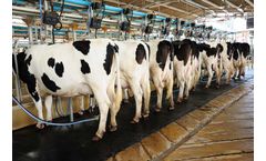 Optimizing Dairy Industry Wastewater Treatment Systems