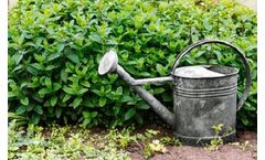 Can horticulture go from blue to green water?