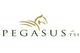 PegasusTSI, Inc.