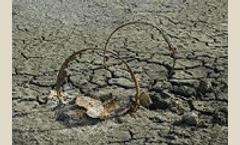 `Killer` southeast drought low on scale, says study
