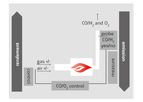 Lamtec - CO/H2 Trim-Control Adaptive Combustion Optimisation System
