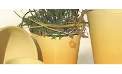 Stephan - Fine Stoneware / Fine Earthenware