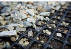 PolGrid - Geogrids