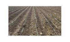Brackish Water Treatment for Irrigation of Saline Soil