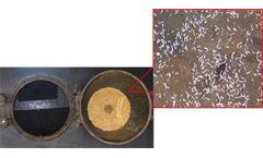 Calcification Solutions