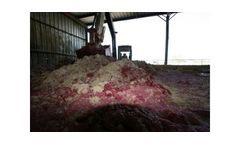 US Waste Industries On-Site Services