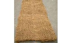 BonTerra - Coir Plant Pillow