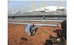 Landscaping Services