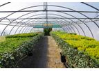 SVITAP - Polytunnels and Grow Tents