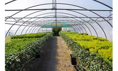 SVITAP - Polytunnels and Grow Tents