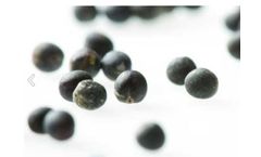 Bayer - Brassica Napus