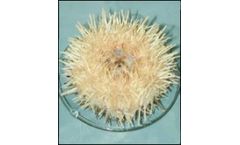 Aquatic Marine Tests