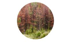 Environmental Data Technology for Land / Resource Management