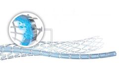 BioFreedom - Selectively Micro-Structured Surface (SMS)