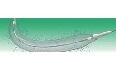 BioStream - Model PTCA - Catheter