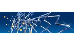 BioMatrix Alpha - Model Biolimus A9 - Proven Safety of the Biolimus Drug