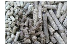 Crowley - Bioenergy Turnkey Service