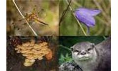 Biodiversity: Facts and figures