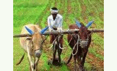 India must improve its climate strategy, says report