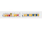 API Test Kits for Identification of Gram Positive and Gram Negative Bacteria and Yeast