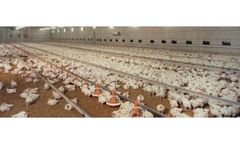 Waste Composting for Livestock Breeding