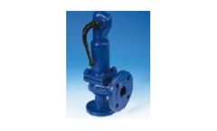 ARI-SAFE - Safety Valves