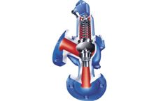 ARI-SAFE - Safety Valves