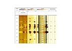 WellCAD - Borehole Analysis Software