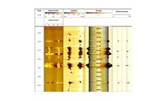 WellCAD - Borehole Analysis Software