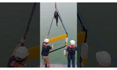 TVG Frame Recovery - Video