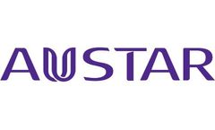 Consulting & Engineering Design Service