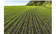 BASF - Model 3C Chlormequat 750 - Plant Growth Regulator