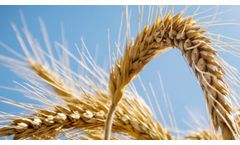 Asana - Fungicides