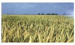 Bassoon - Model EC - Systemic Fungicides