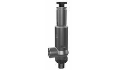 BESA - Model 139 Series - Threaded Safety Valves