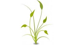 Recycling Plant for Bio-Waste