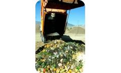 Sustainability Services