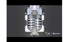 ITT Bornemann SLH 4G pumpe  principle of operation Video