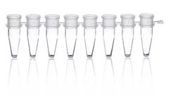 Bio-Cert - PCR Strips