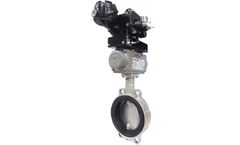 Buracco - Process Line Customizable Butterfly Valves