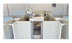 Dorset - Model Sorti - Pig Weighing and Sorting System