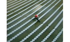 Wastewater Aeration System Installers Services