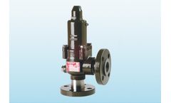 Technical - Model 10000 Series - Safety Valve
