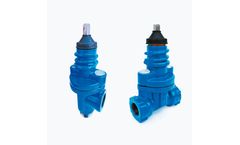 Europa - Service Connection Valve