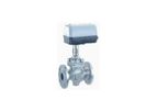 Motor Controlled Globe Valves
