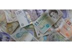 Financial Flexibility Plans Services