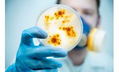 Lubron - Granular Activated Carbon Filtration