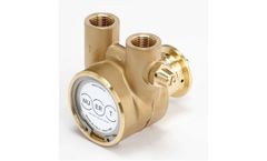 Nuert - Model PRG Series Maxi - Positive Displacement Vane Pumps With Mechanical Seal